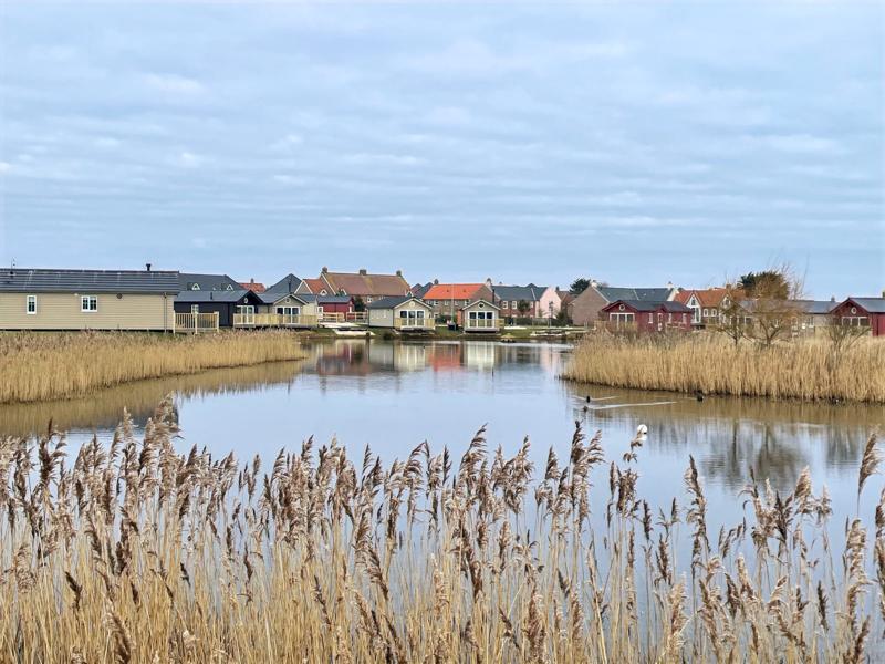 The lake at The Meadows, The Bay